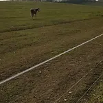 Barsonyberek Vendeghaz Bakony 4*