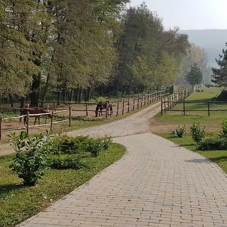 Barsonyberek Vendeghaz Bakony Jásd