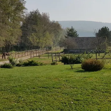 Bársonyberek Bakony 4* Jásd